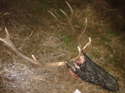 viber image.jpg