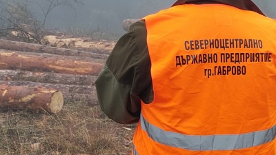 СЦДП.jpg